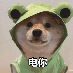 示例图片
